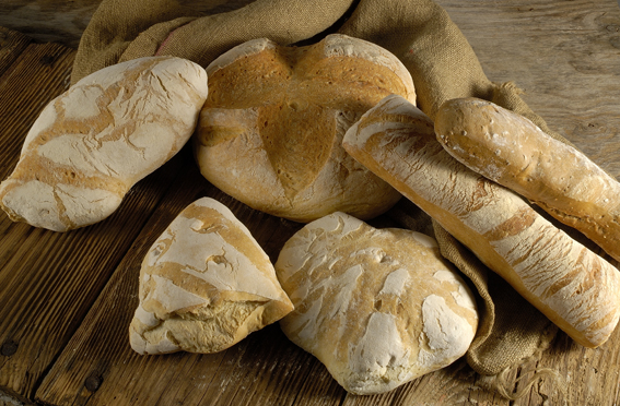 Pane cotto a legna, pane salato, ciabatta