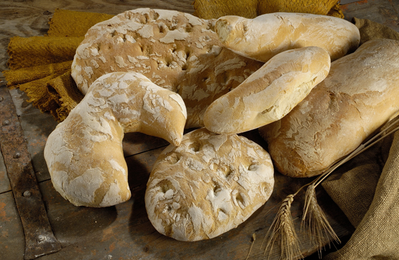 Pane toscano